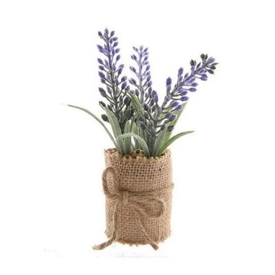 Lavendel in pot jute lila dia5x12cm