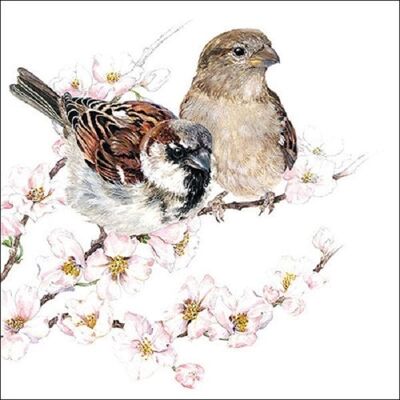 Ambiente Servetten 33x33cm Sparrows Blossom 20 stuks