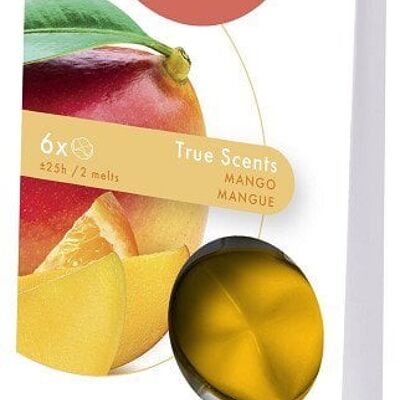 Bolsius Smeltbare geur wax pak a 6st True Scents Mango