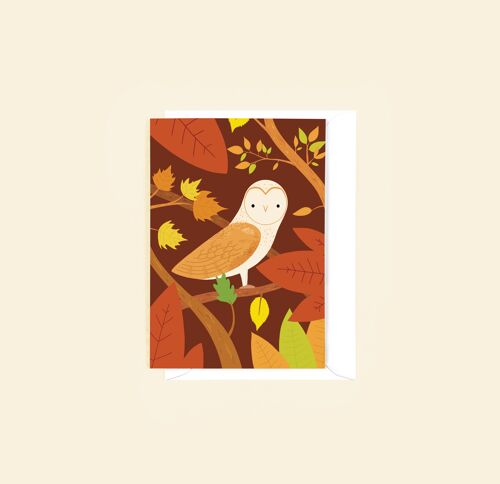 Barn Owl Greetings Card