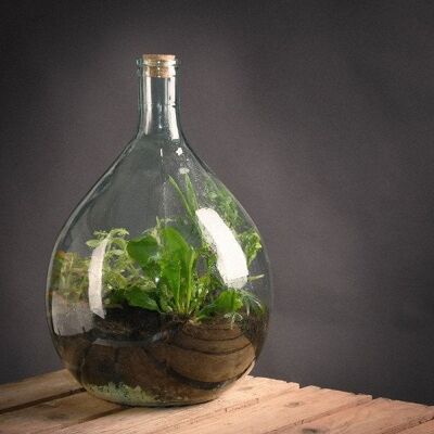 Esschert Design Terrarium glazen fles set 15 liter 30,3x30,3x44,4 cm