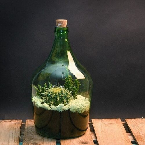 Esschert Design Open terrarium glazen fles 5 liter Ø20x33cm
