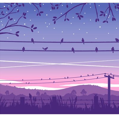 Birds at Sunrise Postcard