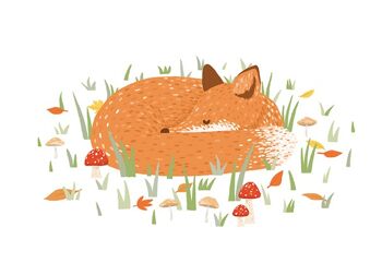 Carte postale de renard endormi