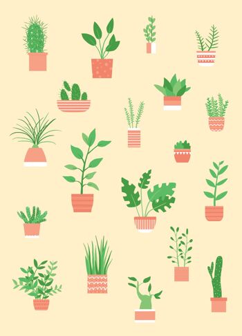 Carte postale de plantes d'intérieur