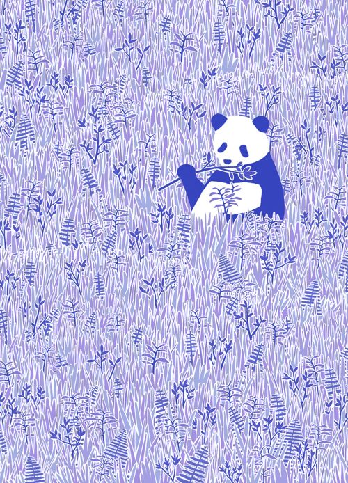 Panda in the Grass Postcard
