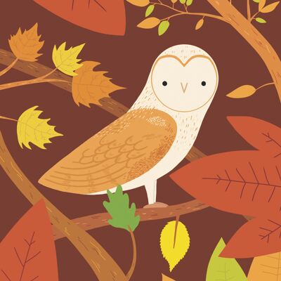 Autumn Barn Owl Postcard