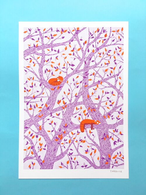 Snoozing Red Pandas (Purple) Risograph Print