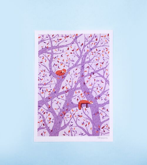 Snnozing Red Pandas (Purple) Small Print