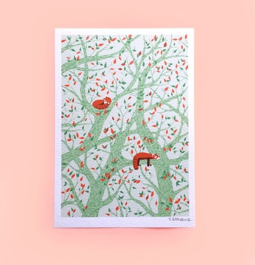 Snnozing Red Pandas (Green) Small Print