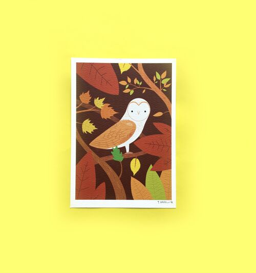 Barn Owl Small Print