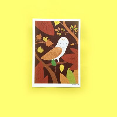 Barn Owl Small Print