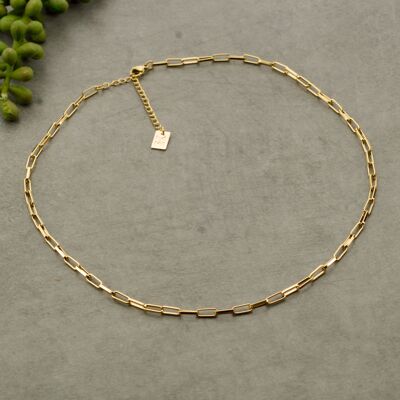 COLLARES 507482