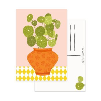 Ansichtkaart pannenkoek plante illustratie 2