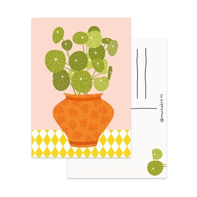 Ansichtkaart pannenkoek plante illustratie