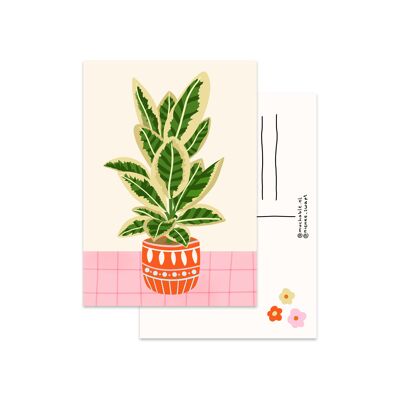 Ilustración de la planta Ansichtkaart