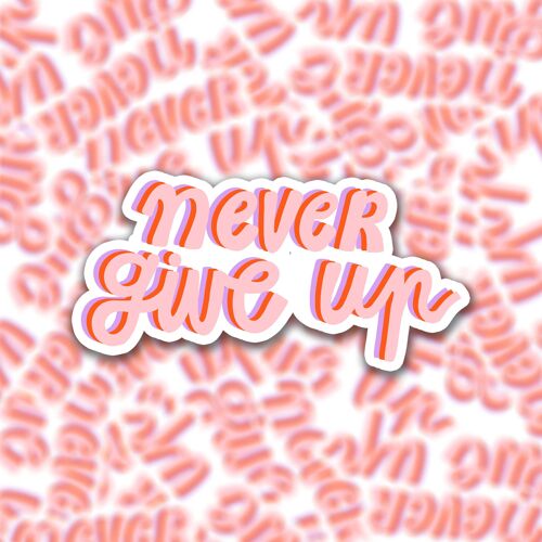 Die cut vinyl sticker - positive quote - never give