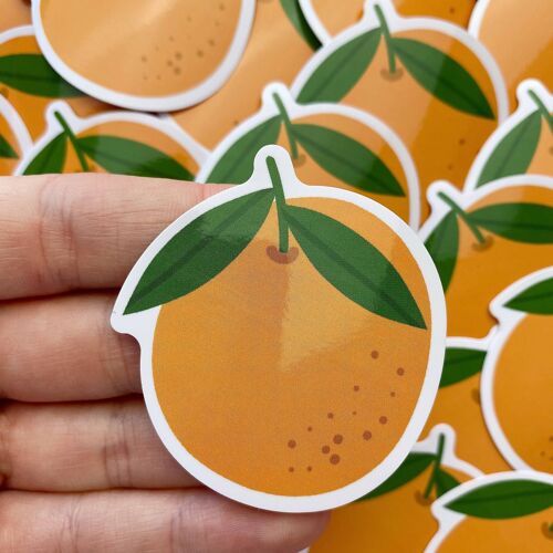 Die cut vinyl sticker - sinaasappel / Nienke