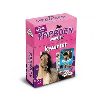 Identity Games Weetjes kwartet Paarden