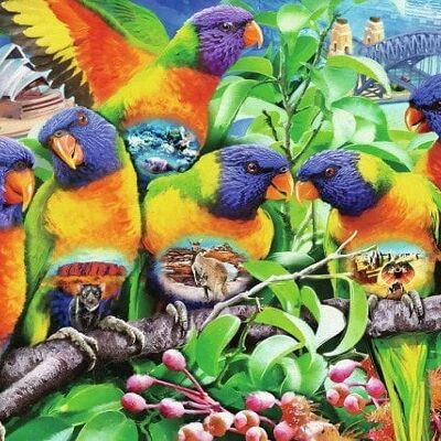 Ravensburger puzzel Land van de lorikeets 1000 stukjes