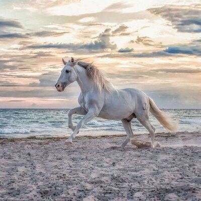 Ravensburger Puzzel Paard op het strand 500 stukjes