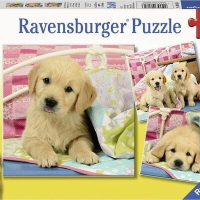 Ravensburger puzzel Schattige hondjes 3x49pcs
