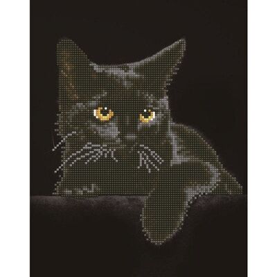 Diamond Dotz Midnight Cat 28x36cm Diamond painting