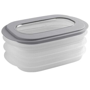 Sunware Sigma Home Boîte à viande 1,1 litre gris 26,5x17,2x10,5cm 2