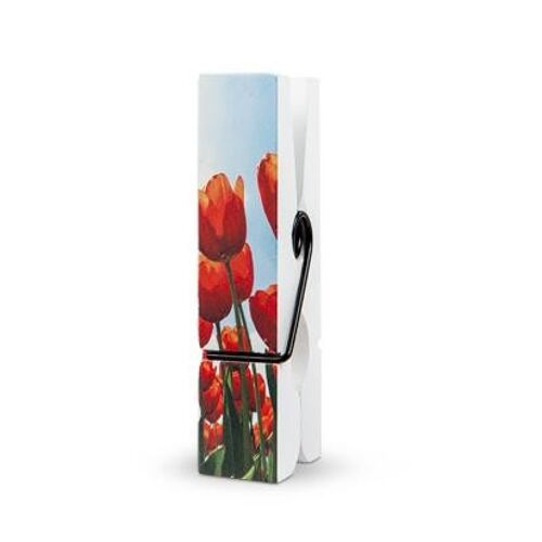 Large clothespin Tulips