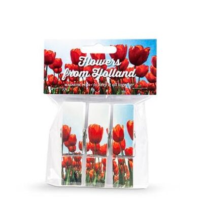 Aimant pinces à linge Tulipes