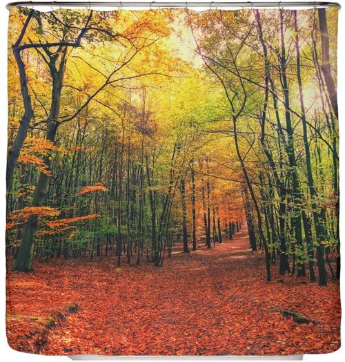 Duschvorhang Herbst Wald 180x200 cm