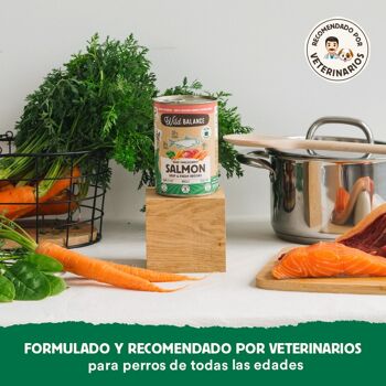 BARF Saumon et Bœuf en Conserve Vapeur avec Légumes Frais pour Chiens 400gr 4
