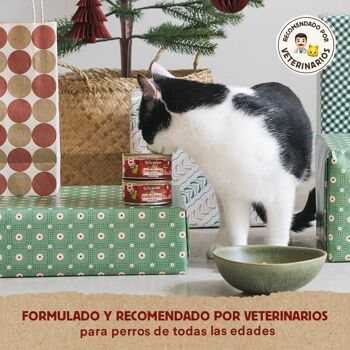 Boîte de Noël vapeur pour chats 120gr 4