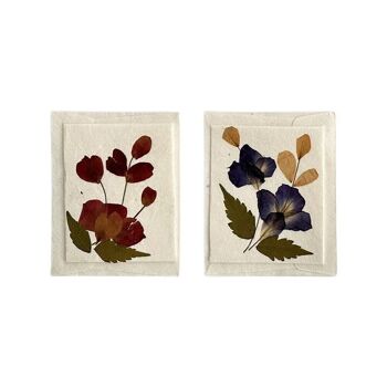 Assortiment de cartes-cadeaux de fleurs de mûrier, 5,5 x 6,5 cm, à l'unité 2