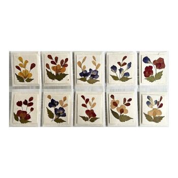 Assortiment de cartes-cadeaux de fleurs de mûrier, 5,5 x 6,5 cm, à l'unité 5