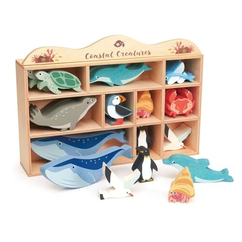 30 Coastal Tender Leaf  Wooden Animals 10 of each style With Wooden Display Unit