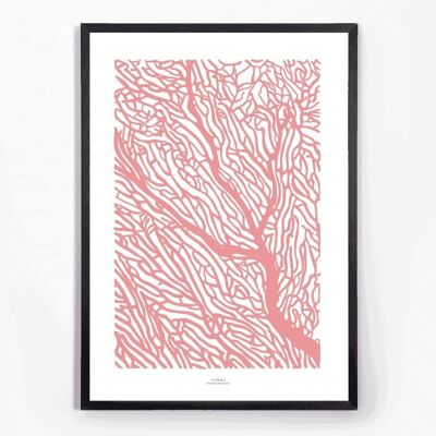 POSTER A2 CORAL PINK