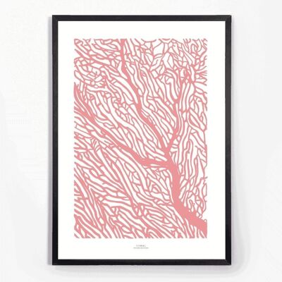 AFFICHE A2 CORAL ROSE