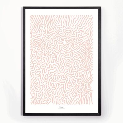 POSTER A2 CORAL SALMON