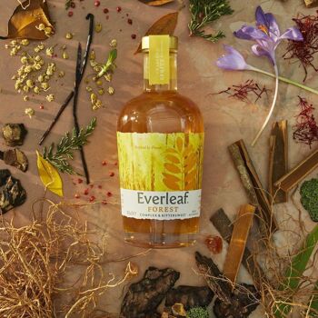 FOREST - Everleaf Forest - sans alcool 7