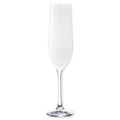 KAD BLANC Champagne flute 19cl