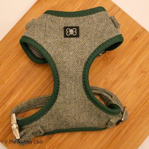 Peaky Paws Forest Adjustable Harness