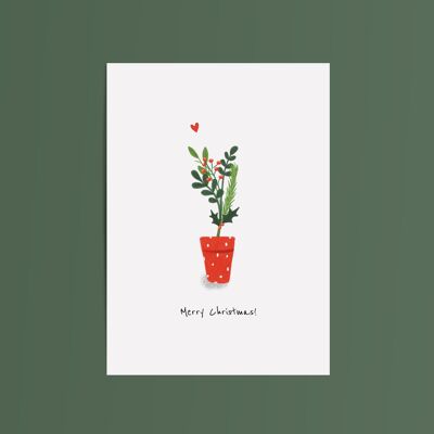 Card Christmas Plant Christmas Holly