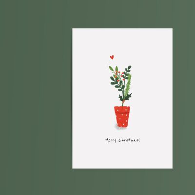 Card Christmas Plant Christmas Holly