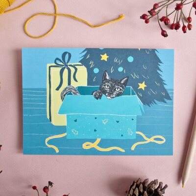 Christmas card cat in a box A6