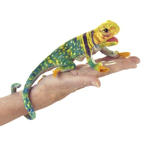 Mini Collared Lizard / Mini Eidechse| Handpuppe (VE 3) 2798