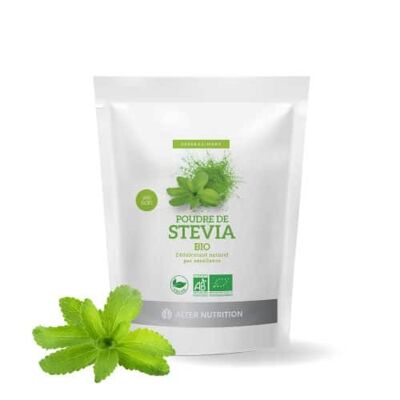 Stevia orgánica en polvo - sobre de 40 g