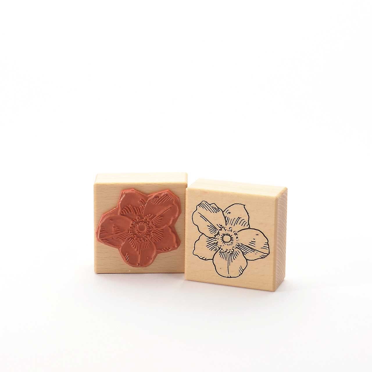 Titolo francobollo motivo: Tina - anemone höst - anemone autunnale