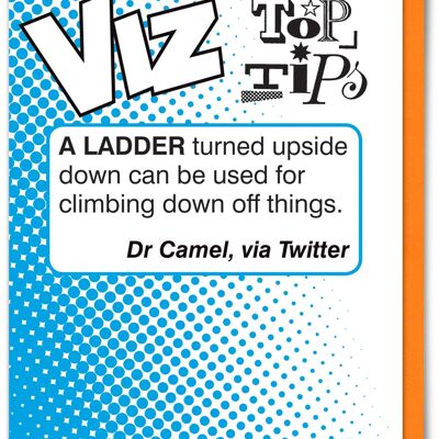 Ladder Viz Top Tips Funny Birthday Card