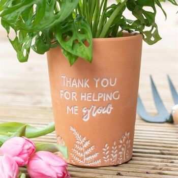 Merci de m'avoir aidé à cultiver un pot de fleurs en terre cuite 2